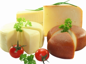 different, cheeses, tomatoes, Species