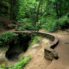 forest, Path, spring, rocks