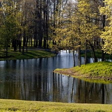 Spring, River, forest