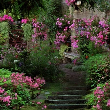 Stairs, Garden, Flowers