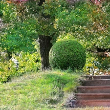 Park, Stairs