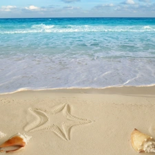 Beaches, Shells, starfish, Sand