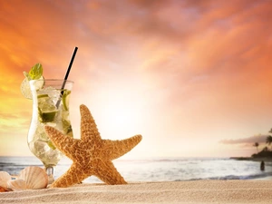 Shells, Mojito, Sand, starfish, Drink, Beaches, holiday