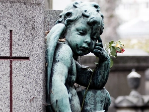 cemetery, angel, rose, statuette