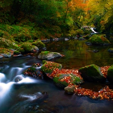 Stones, River, forest