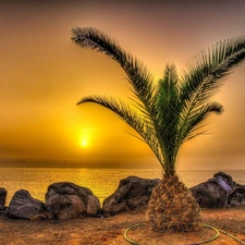 Stones, Palm, west, sun, sea