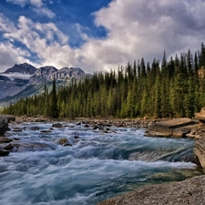 River, forest, Stones, Mountains