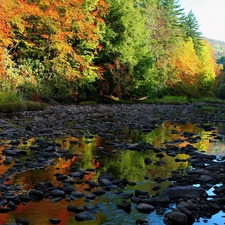 Stones, forest, River