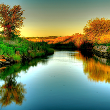 River, viewes, Stones, trees