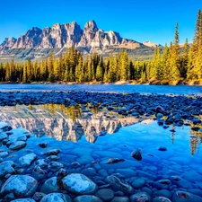 rocks, River, Stones, forest