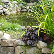 Stones, eye, water