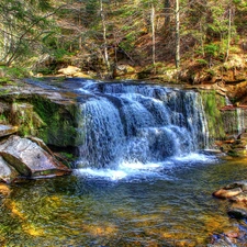 Stones, forest, waterfall