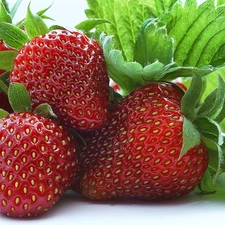 strawberries