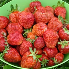 strawberries, Green, plate