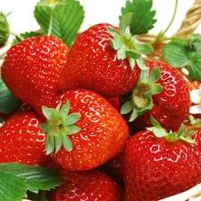 strawberries