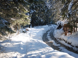 forest, winter, Mountains, stream