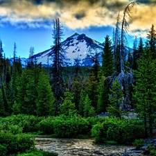 Mountains, stream, stream, forest