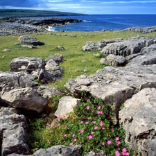 Coast, sea, summer, rocks