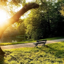 Park, Przebijaj?ce, sun, Bench