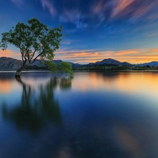 trees, Mountains, Wanaka Lake, Great Sunsets, New Zeland