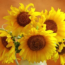 bouquet, sunflowers