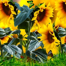 Nice sunflowers, grass, graphics, butterfly