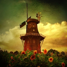 Windmill, Nice sunflowers