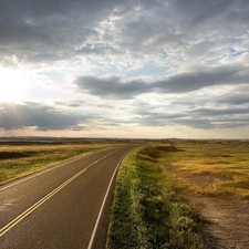 Way, rays, sunny, wilderness