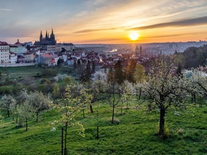 trees, Czech Republic, Sunrise, Spring, viewes, Prague