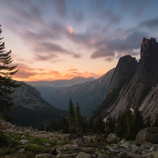 Stones, Sunrise, rocks, Spruces, Mountains