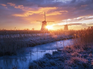 rushes, Sunrise, Windmills, grass, River