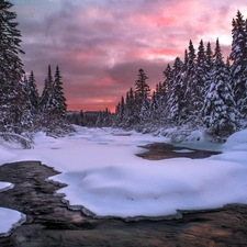 viewes, River, Spruces, trees, winter, Snowy, Great Sunsets