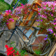 florist, Flowers, Surfinie, Bike