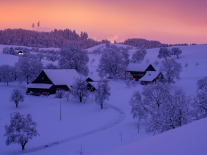 Houses, winter, viewes, Switzerland, trees, Mountains