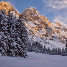 viewes, Switzerland, Mountains, trees, winter