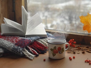 Book, coverlet, leaves, mug, Plant, drops, Window, tea