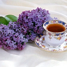 Violet, cup, tea, without