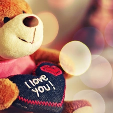 teddy bear, Valentine