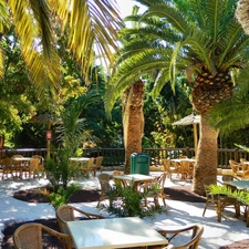 Tenerife, Restaurant, Palms