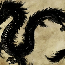 Chinese, Dragon, text, Black