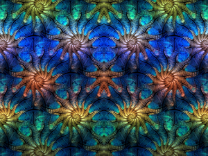 texture, Shells, color