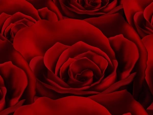 texture, Red, roses