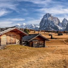 Houses, Val Gardena Valley, Dolomites, viewes, The Hills, Seiser Alm Meadow, Sassolungo Mountains, Italy, trees, wood