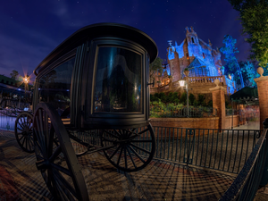 Walt Disney World Resort Complex, vehicle, State of Florida, Magic Kingdom, Disneyland, City of Bay Lake, The United States