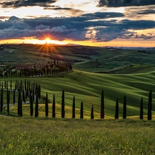 Way, Tuscany, trees, Sunrise, viewes, Italy, The Hills, clouds, cypresses, Houses