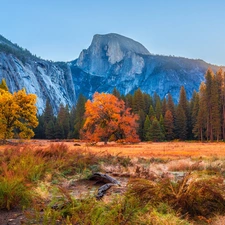 Half Dome, Yosemite National Park, viewes, trees, autumn, The United States, California, mountains, Mountains, rays of the Sun, forest