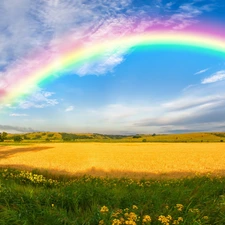 trees, viewes, field, The Hills, Great Rainbows