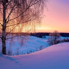 The Hills, winter, viewes, birch-tree, trees, Great Sunsets