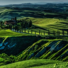 The Hills, field, house, medows, cypresses, Tuscany, Italy, Way