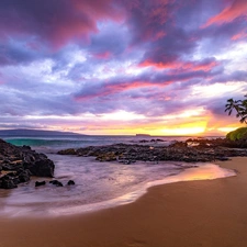 sea, Aloha State Hawaje, Palms, Maui, The United States, Beaches, rocks